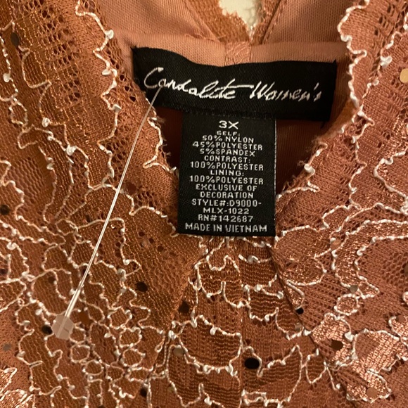 NWOT Plus Size Dark Salmon Lace Long Evening Wear Dress - Picture 4 of 11